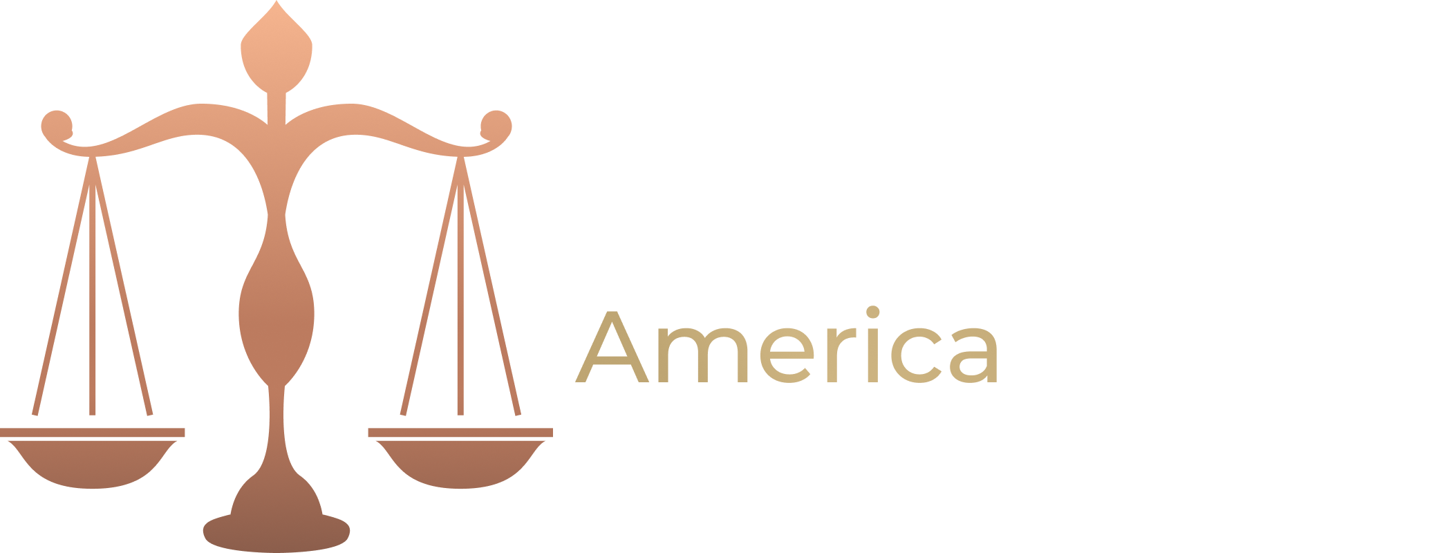 Fiscal Focus America